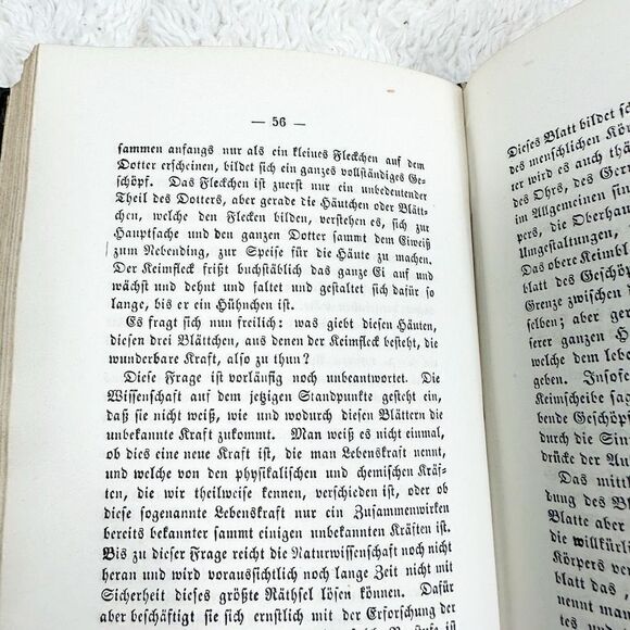 German Popular Science Library Volume 2 Natural Science Book HB 1878 - Picture 14 of 16